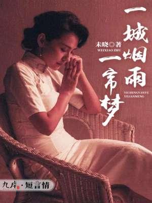 一城烟雨一场梦第27章