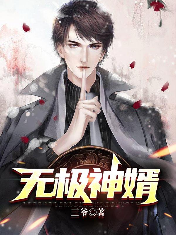 无极神婿 无极神婿